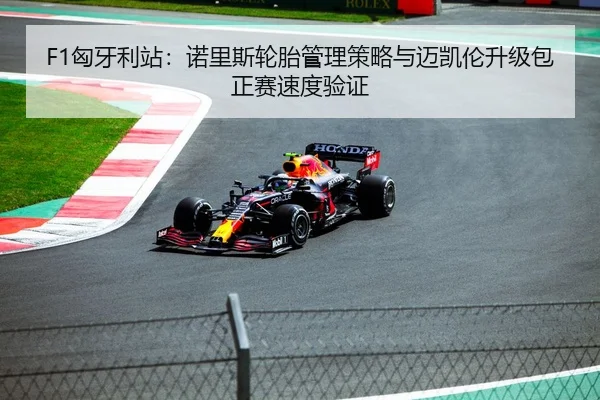 F1匈牙利站：诺里斯轮胎管理策略与迈凯伦升级包正赛速度验证
