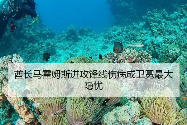 酋长马霍姆斯进攻锋线伤病成卫冕最大隐忧
