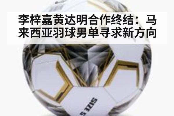 李梓嘉黄达明合作终结:马来西亚羽球男单寻求新方向